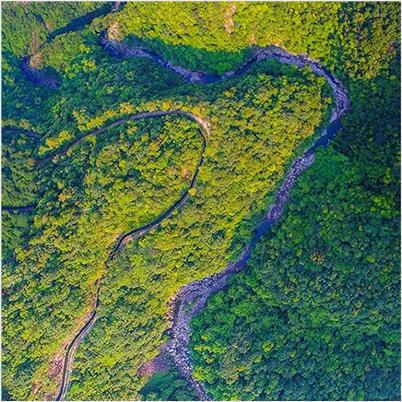 Ӫҵ��ģ����ҵ�������롢��ҵ��ҵ�������롢�ֵر�������������ʹ�����롢��ɫ�����ֹ�ҵ��������
��ɭ����Դı�����롢ɭ����Դ������ơ�ɭ��ı���ƻ����������ֹ����������