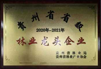 ����ʡʡ����ҵ��ͷ��ҵ