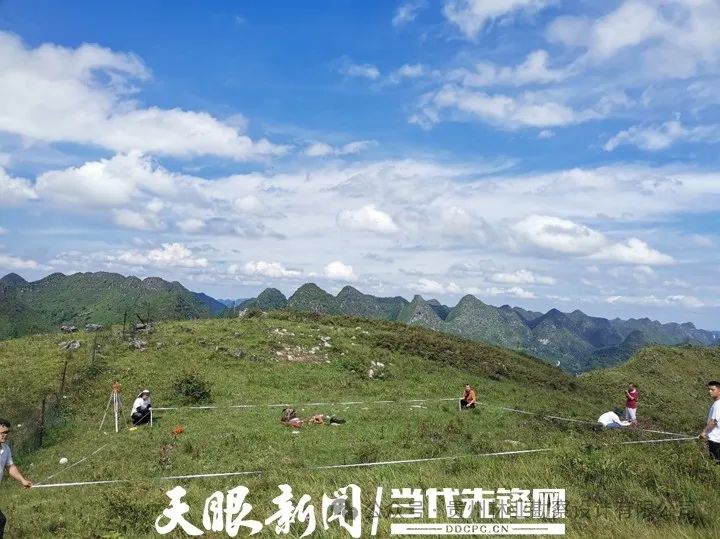 1735896258100014.jpg ͼƬ