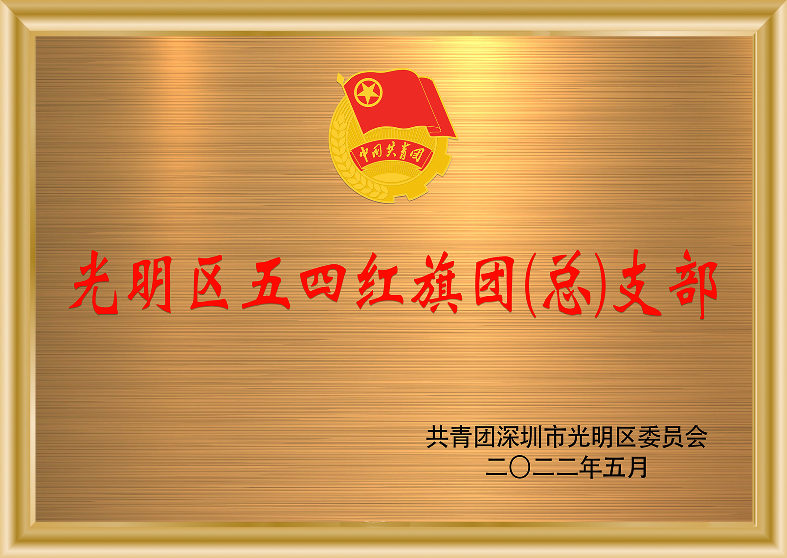 光明区五四红旗团总支部 97国际-至尊品牌,源于诺言