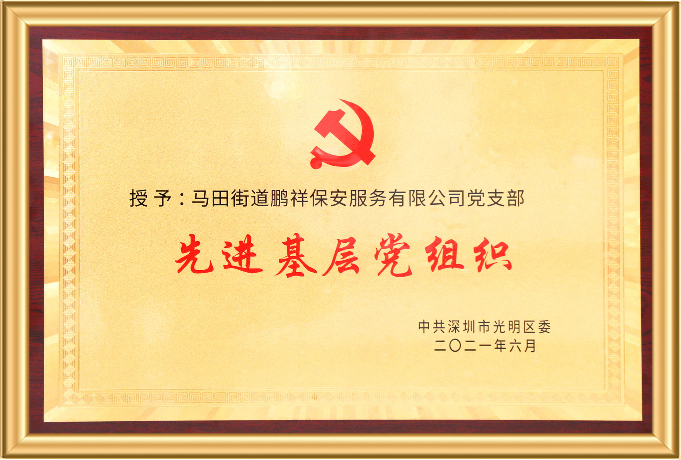 先进基层党组织 97国际-至尊品牌,源于诺言