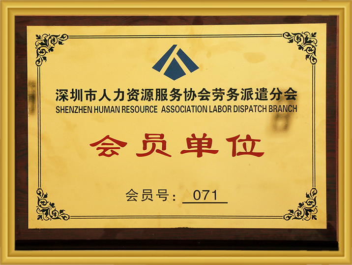 丽江市人力资源服务协会劳务调派分会会员单元 97国际-至尊品牌,源于诺言