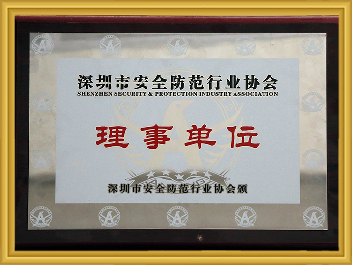 丽江市安全防备行业协会理事单元 97国际-至尊品牌,源于诺言