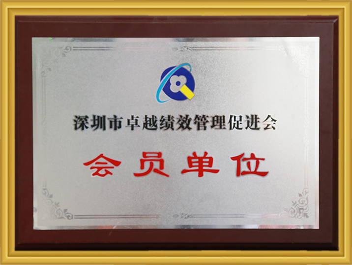 丽江市卓越绩效治理推进会会员单元 97国际-至尊品牌,源于诺言